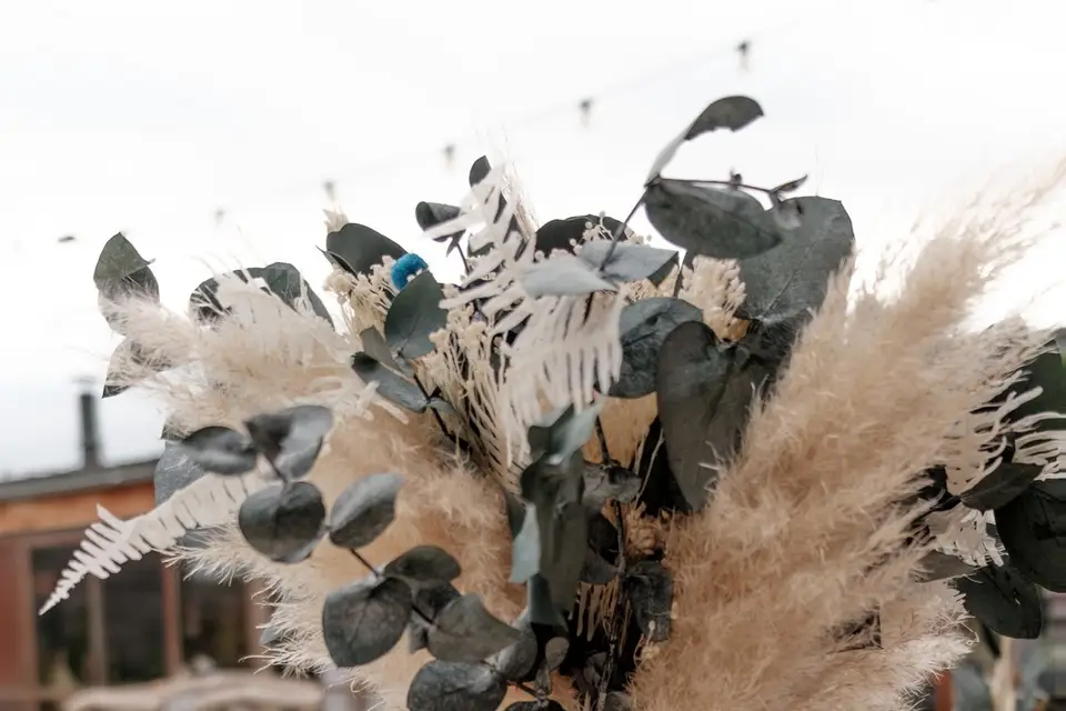 Rosalysa — photo 4