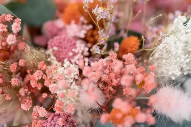 Rosalysa — photo 2