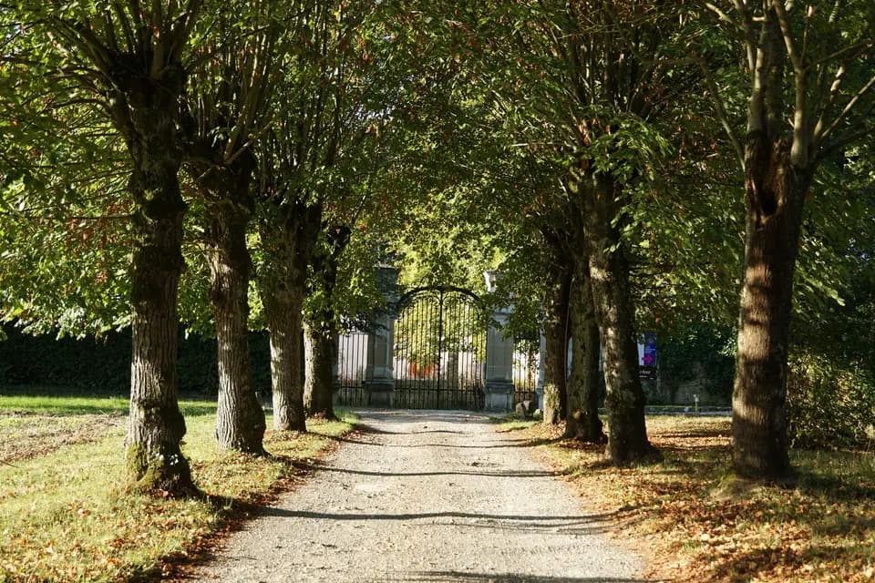 Château de Bel Ebat — photo 7