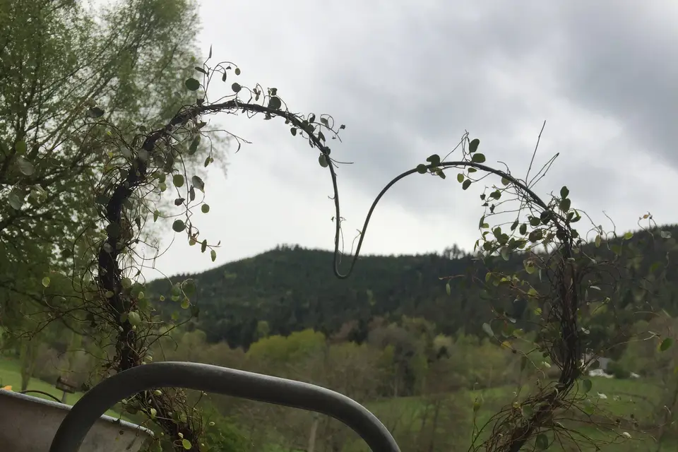 Le Grenier a PP — photo 8