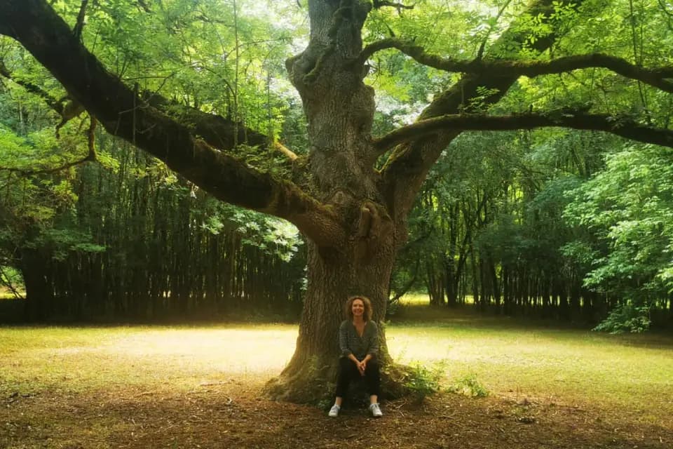 Moulin Samsara — photo 6