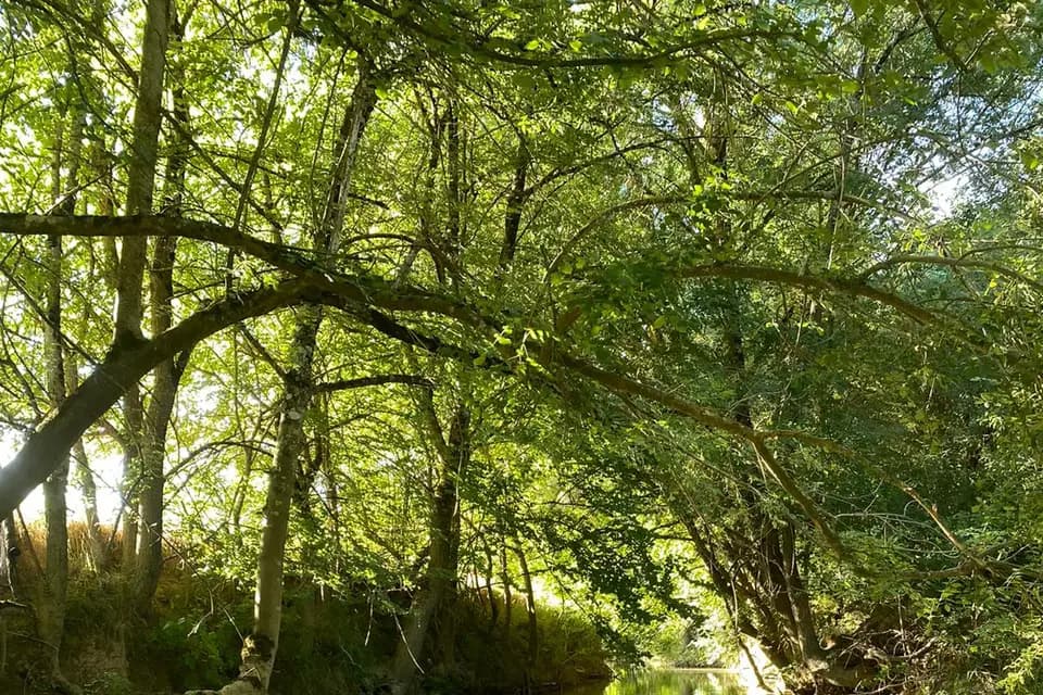 Moulin Samsara — photo 7