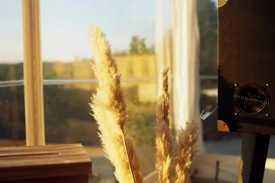 William Hoareau — photo 8