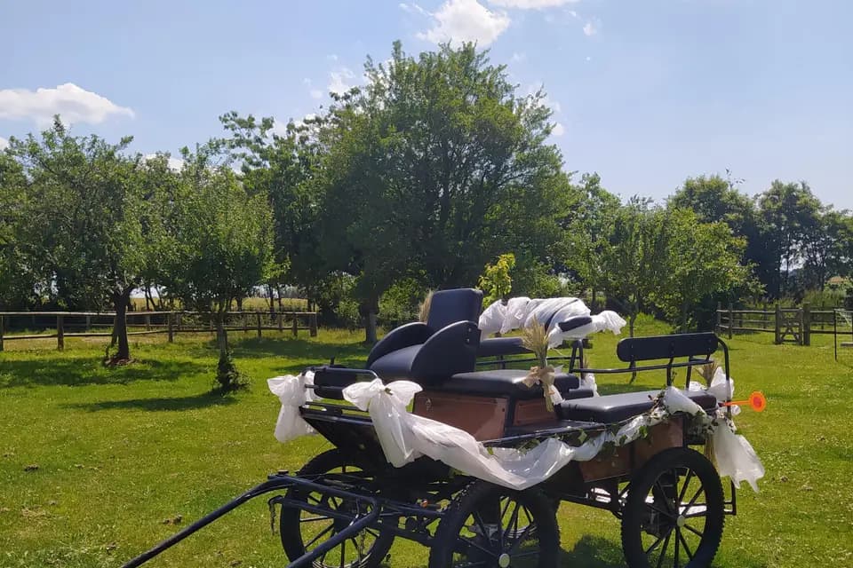 Attelages de la Jumenterie des Néfliers — photo 5