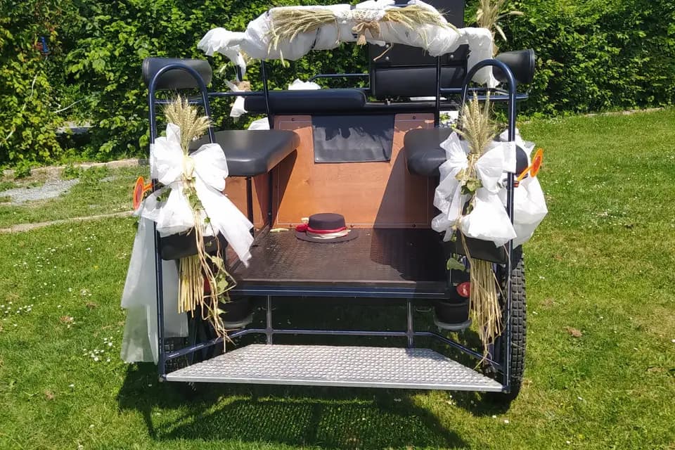 Attelages de la Jumenterie des Néfliers — photo 2