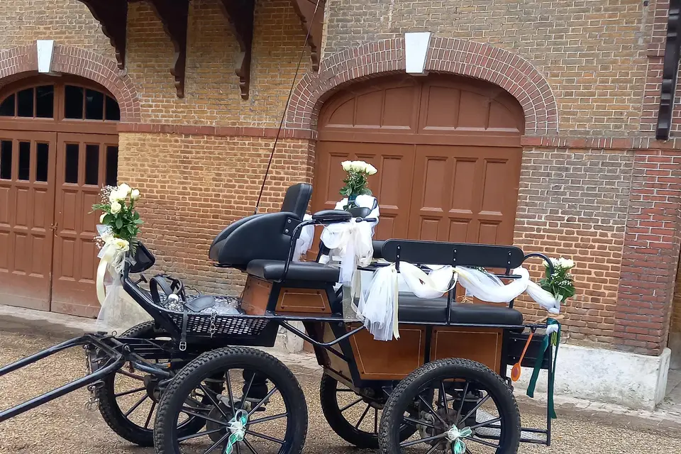 Attelages de la Jumenterie des Néfliers — photo 4