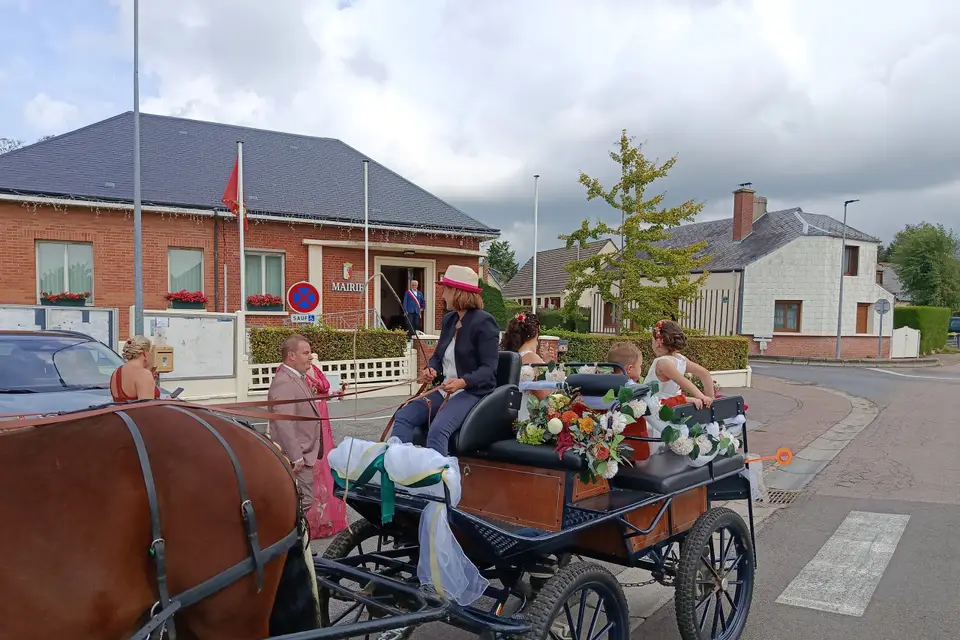 Attelages de la Jumenterie des Néfliers — photo 6