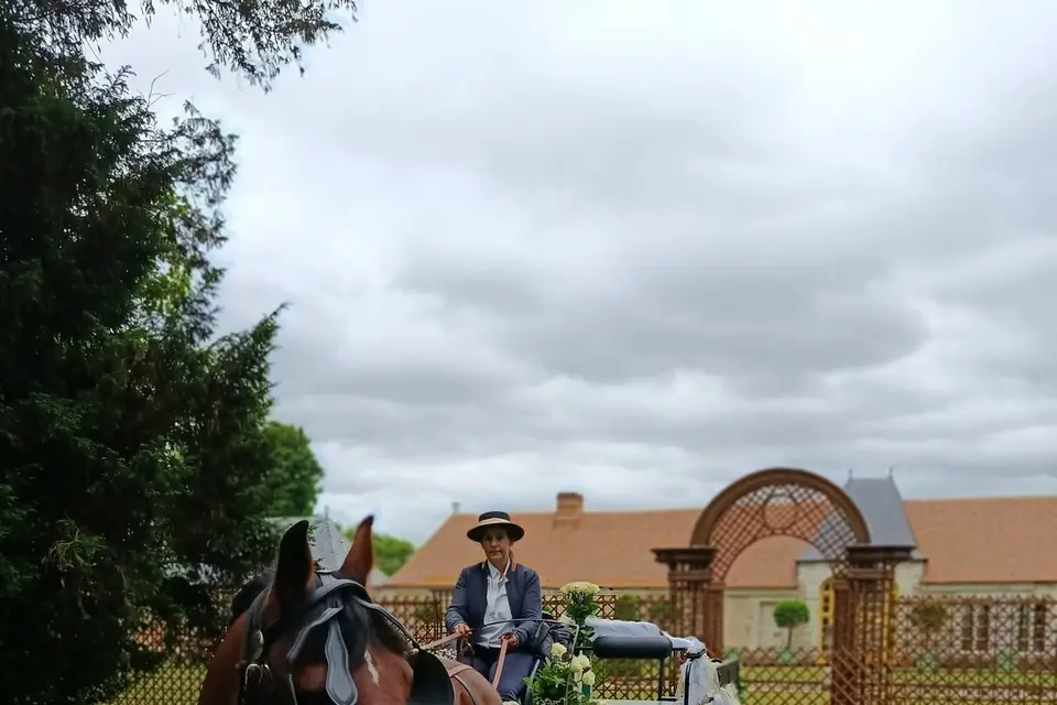 Attelages de la Jumenterie des Néfliers — photo 1