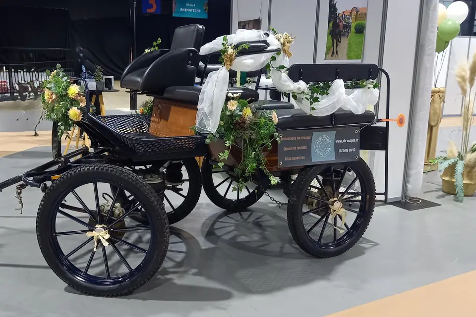 Attelages de la Jumenterie des Néfliers — photo 3