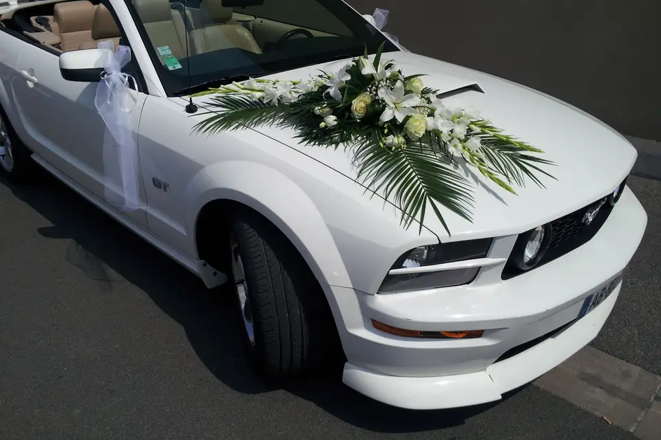 Mustang Wedding — photo 1