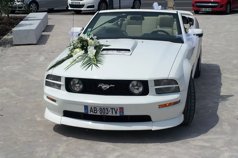 Mustang Wedding — photo 2