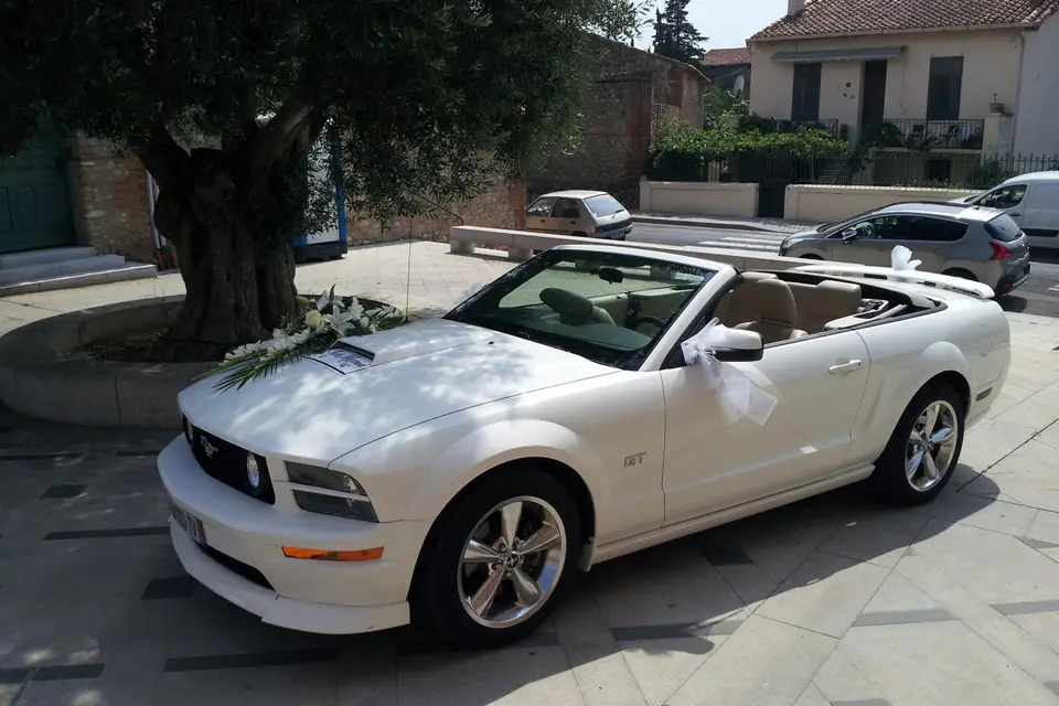 Mustang Wedding — photo 3