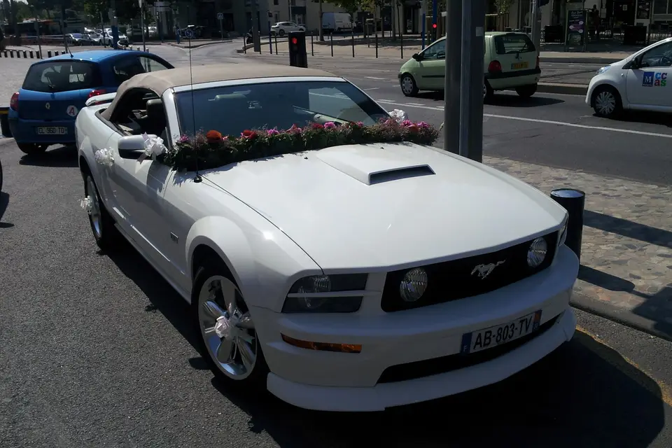 Mustang Wedding — photo 8