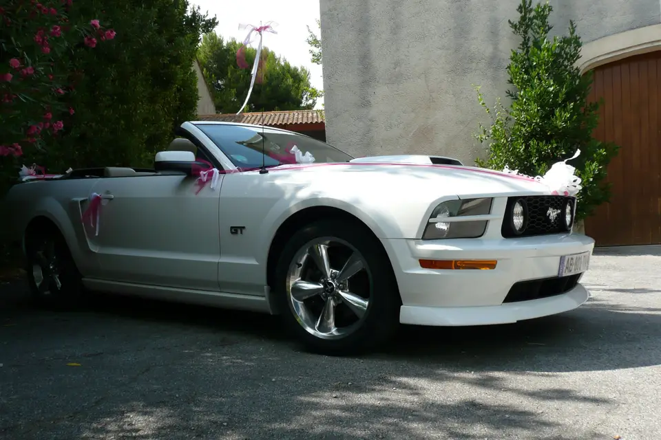 Mustang Wedding — photo 6