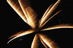 Artifestif — photo 2