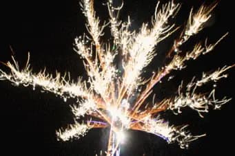 Artifestif — photo 4