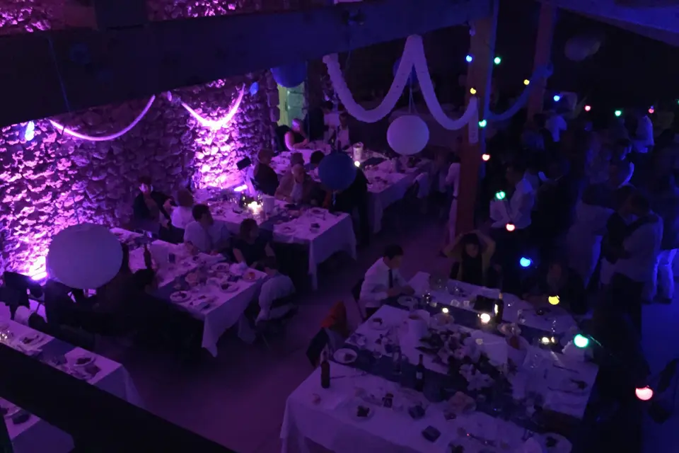 Foxy Light — photo 6