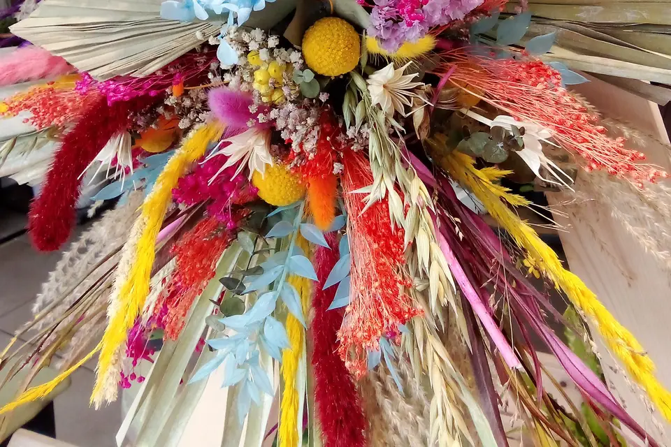 Léti Rose — photo 8