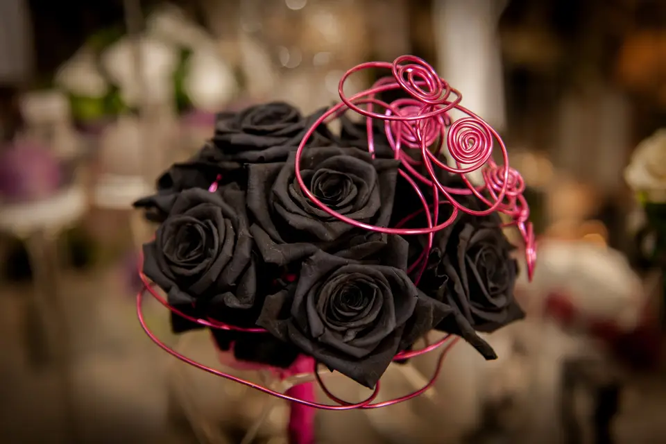 Brindille et Compagnie — photo 2