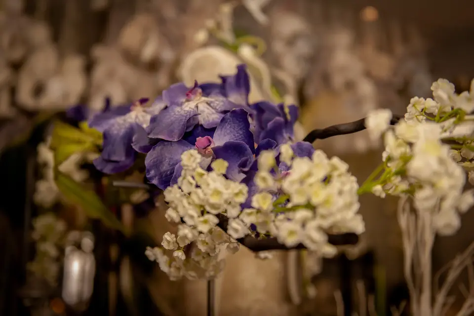 Brindille et Compagnie — photo 3