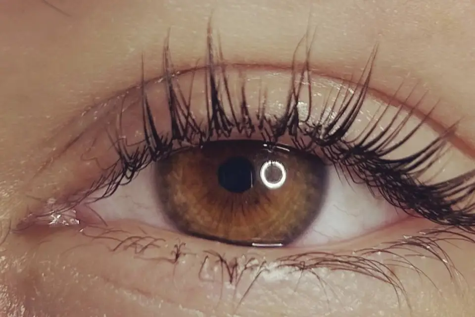 Beauty Cosy — photo 2