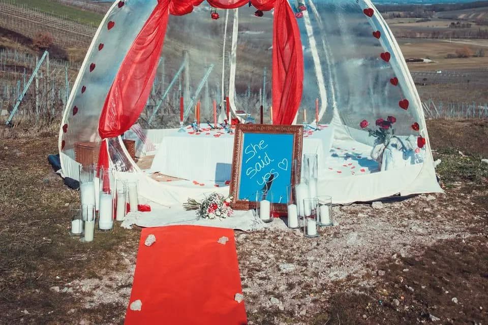 Bichettes & Co — photo 8