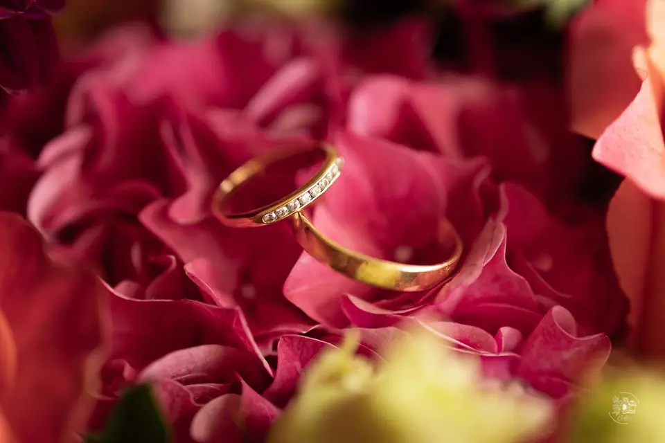 Elodie Puyrajoux Photographies — photo 6