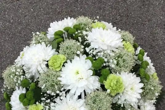 Bricorama Voiron — photo 7