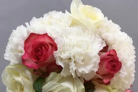 Bricorama Voiron — photo 3