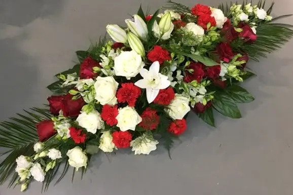 Bricorama Voiron — photo 8