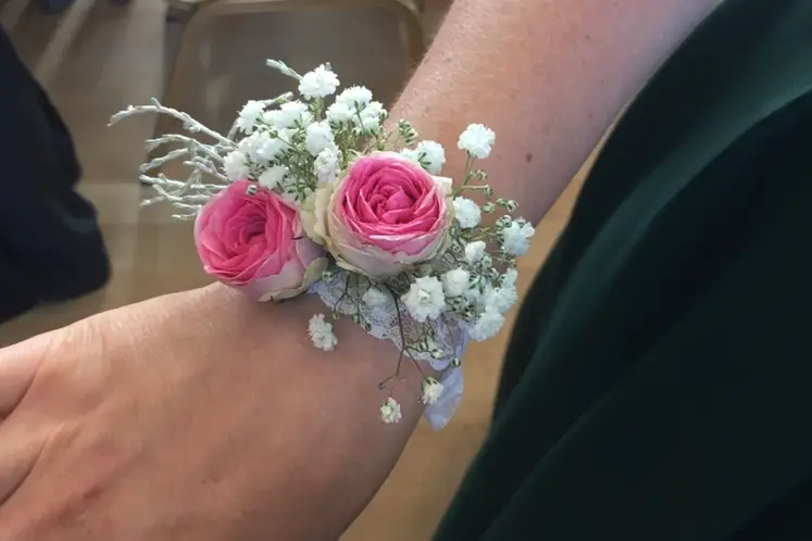 Bricorama Voiron — photo 5