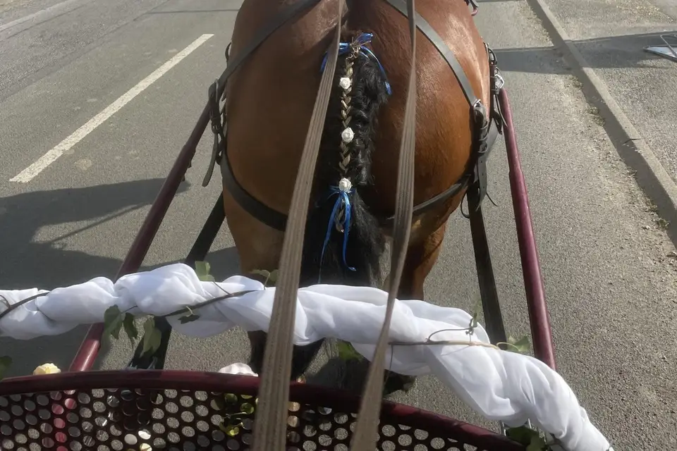 Les Sabots du Relais — photo 2