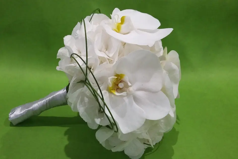 P'tite Fleur — photo 1