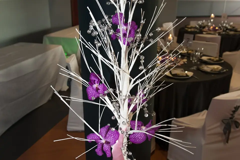 Paula Evénements — photo 8