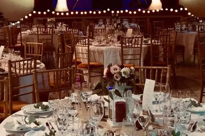 DJ Bonito — photo 8