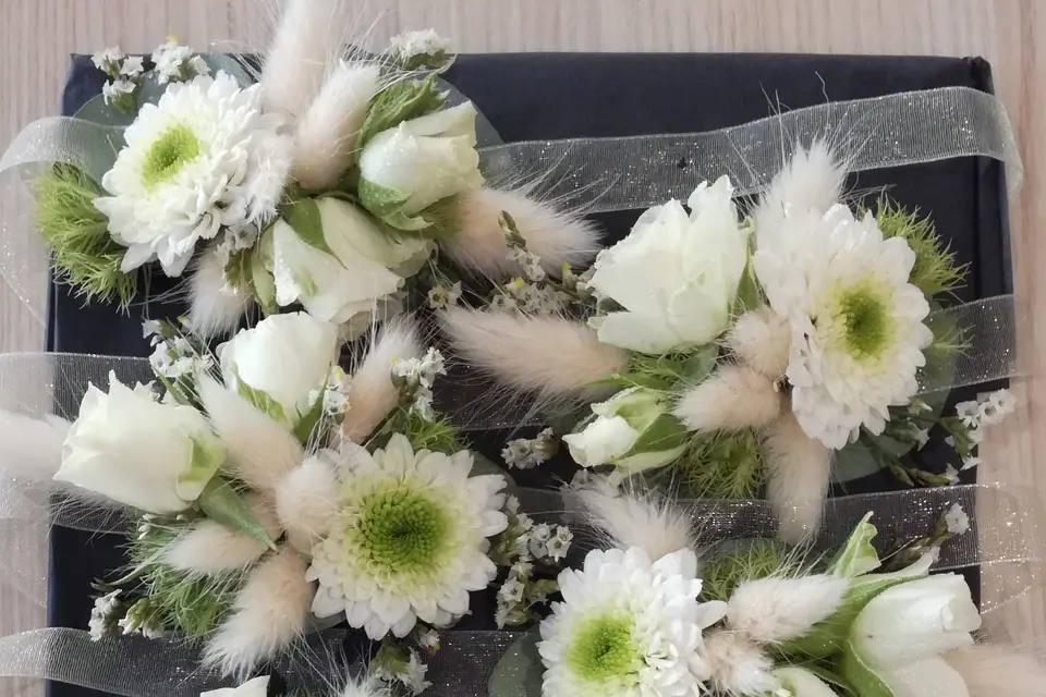 Pauline Riou — photo 3