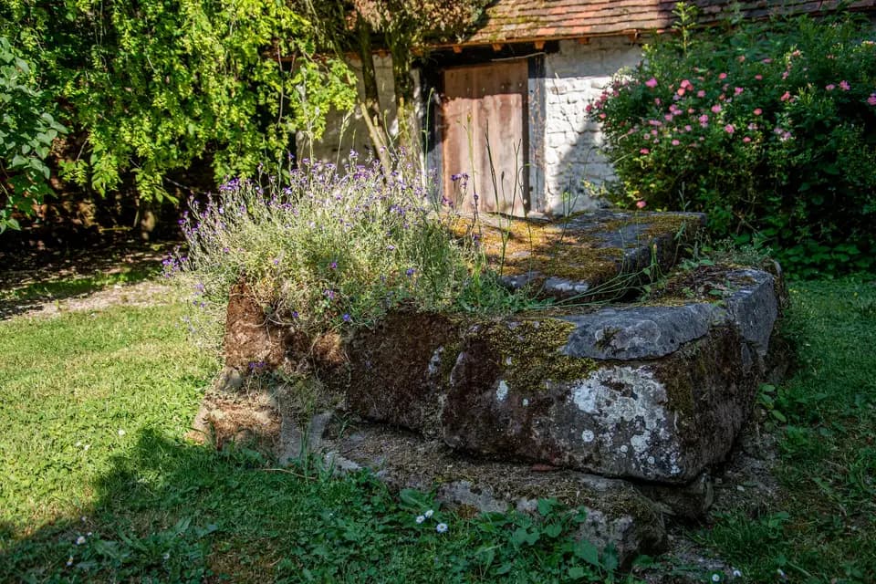 SMC Images — photo 4