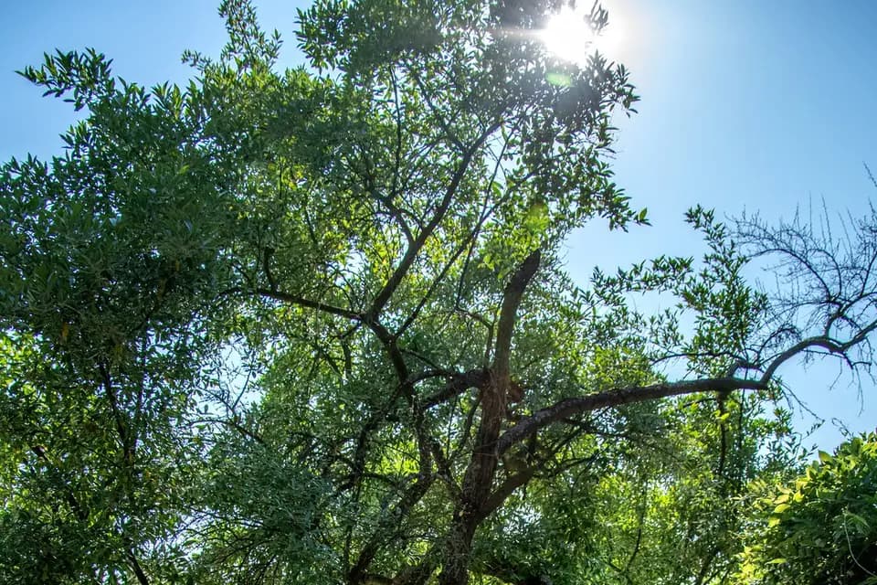 SMC Images — photo 6