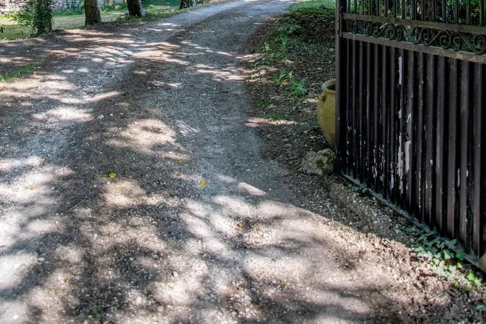 SMC Images — photo 2