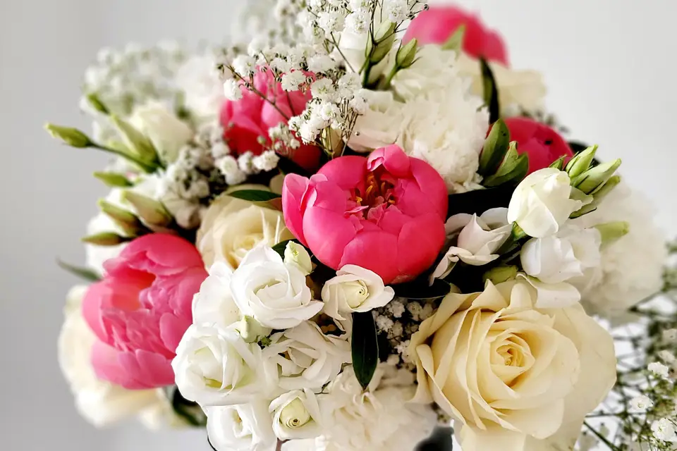 Violetteetabricot — photo 4