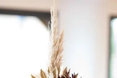 Raphaël Cérémonies — photo 1