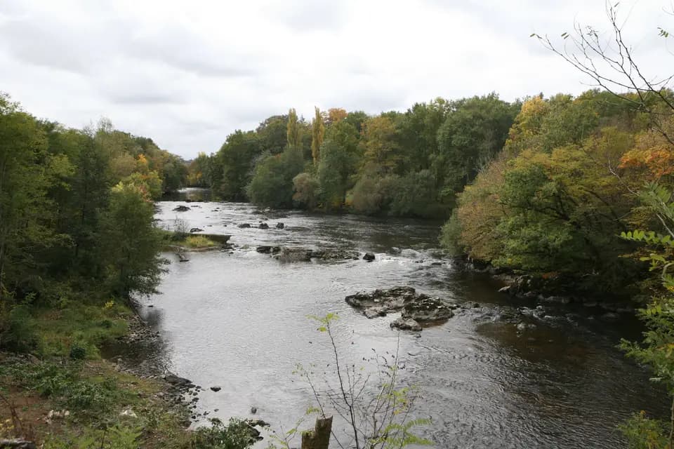 Château de Losmonerie — photo 4