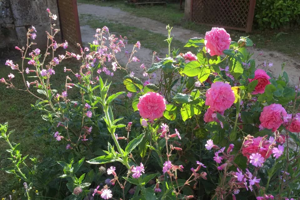 Château de Losmonerie — photo 7