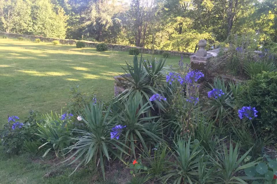 Château de Losmonerie — photo 8