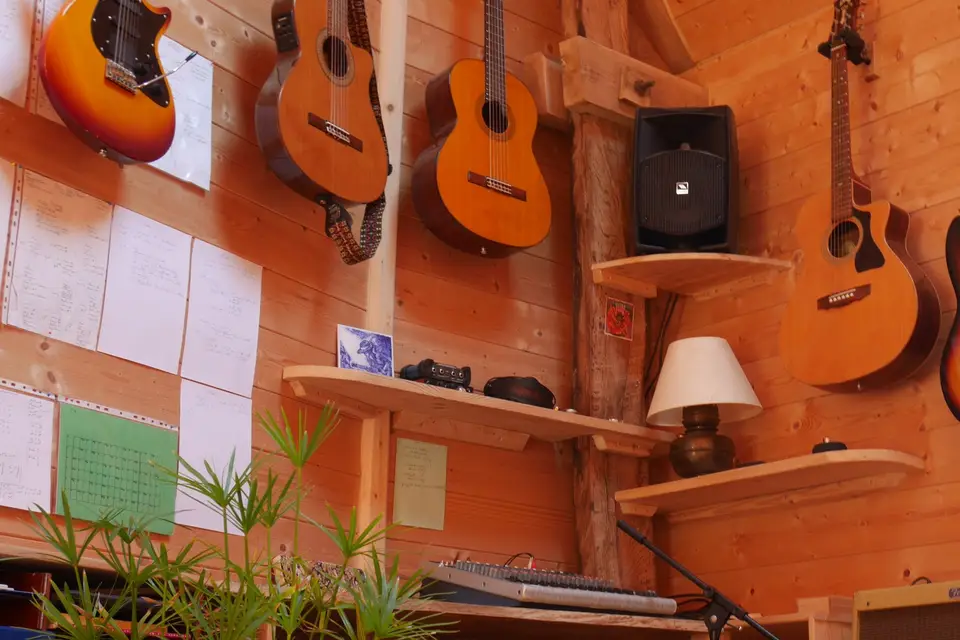 Vincent Viollet — photo 8