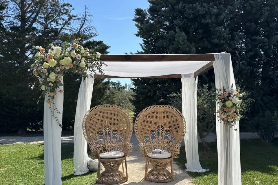 Tendre Echinops — photo 2