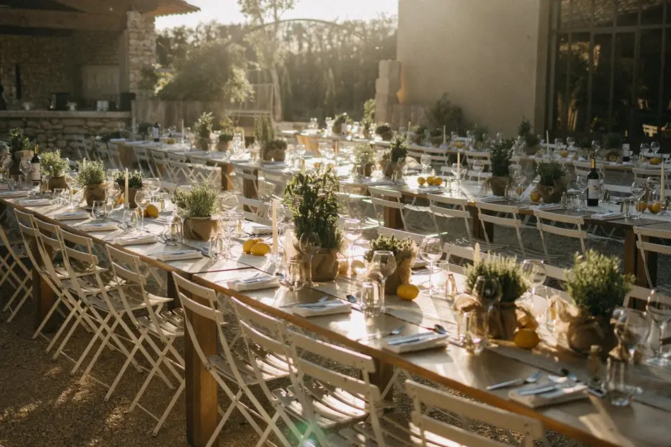 Tendre Echinops — photo 6