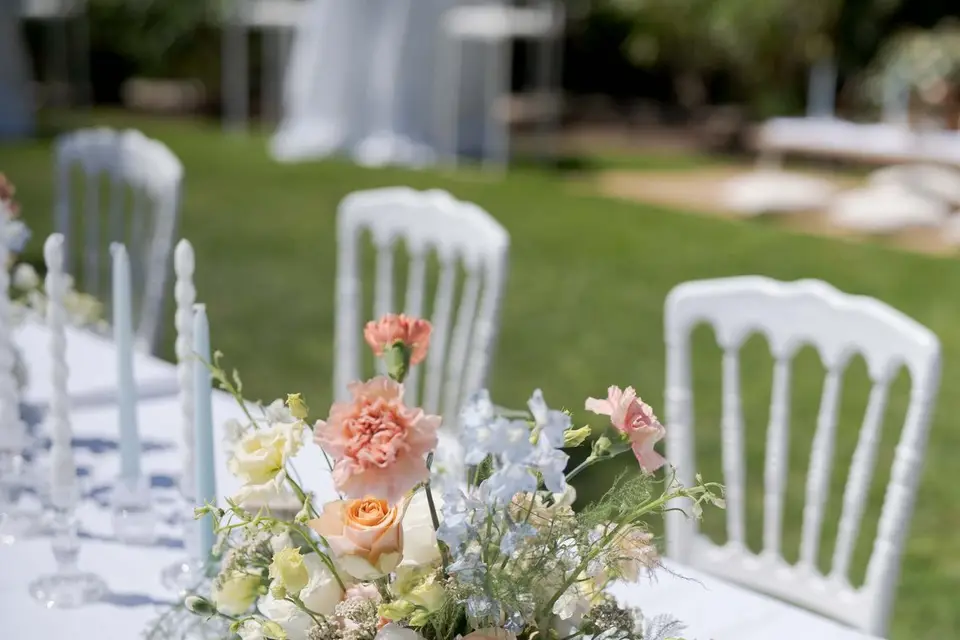 Tendre Echinops — photo 8