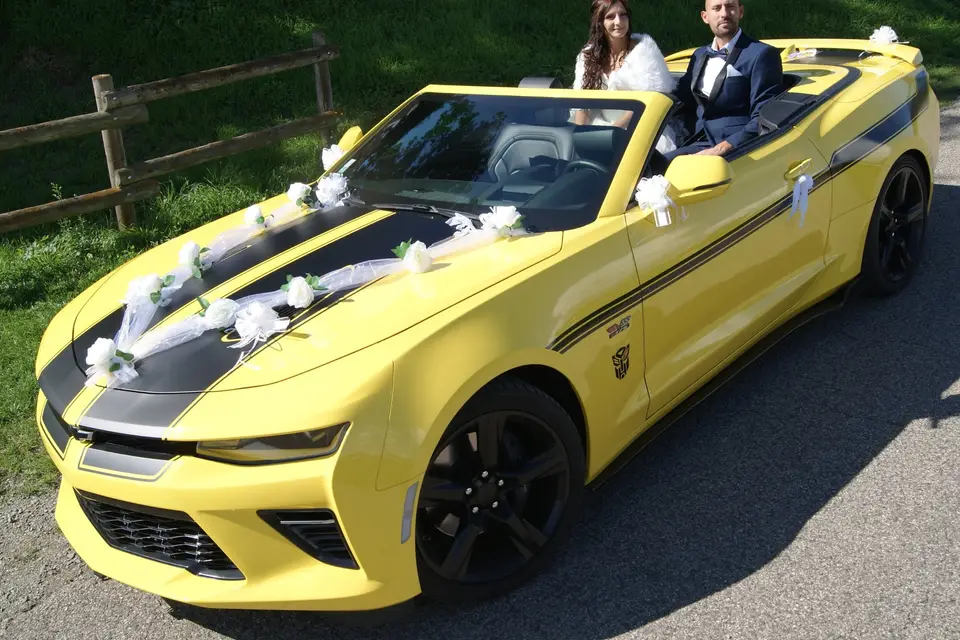 Petit Déé — photo 3