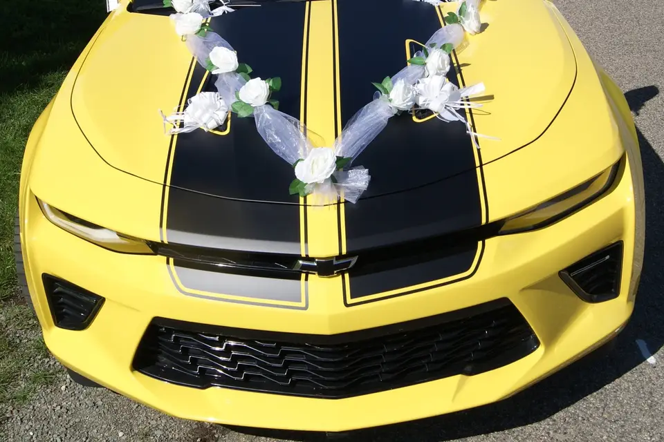 Petit Déé — photo 4